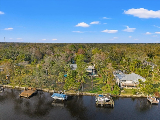 drone / aerial view with a water view and a wooded view