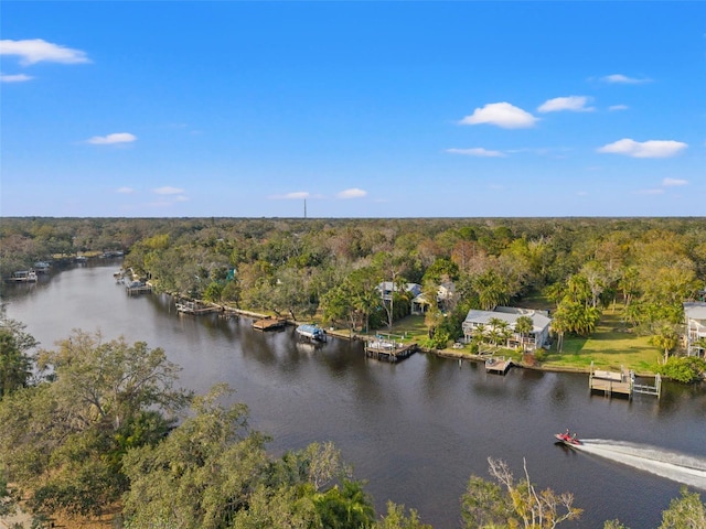 bird's eye view featuring a water view and a wooded view