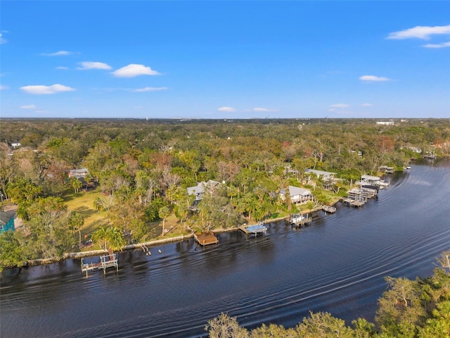 drone / aerial view with a water view and a view of trees