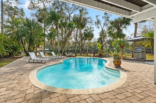 outdoor pool featuring a patio and area for grilling