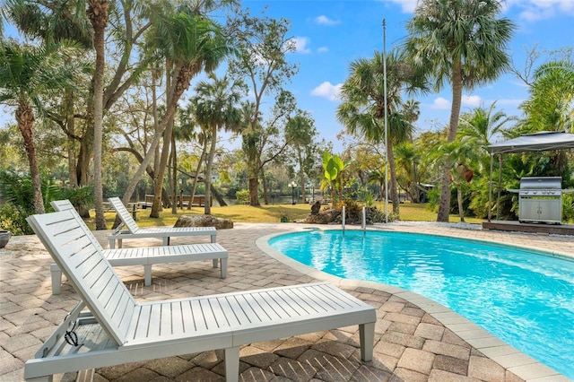 outdoor pool with a patio and grilling area