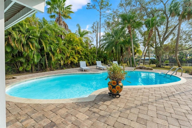 outdoor pool featuring a patio