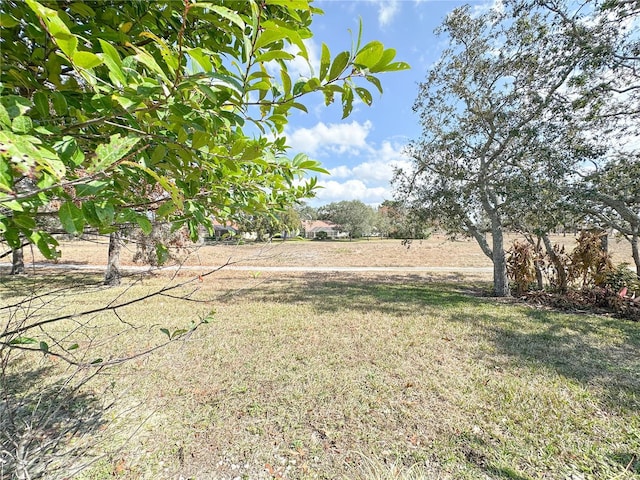 view of yard featuring a rural view