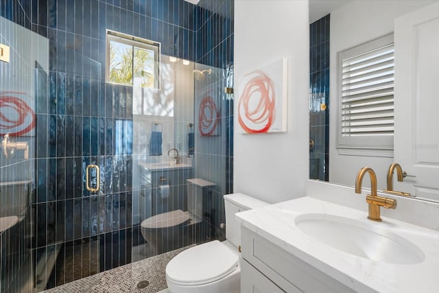 bathroom with vanity, toilet, and a shower with shower door