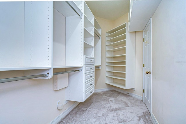 walk in closet featuring light colored carpet