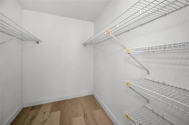 spacious closet with wood-type flooring