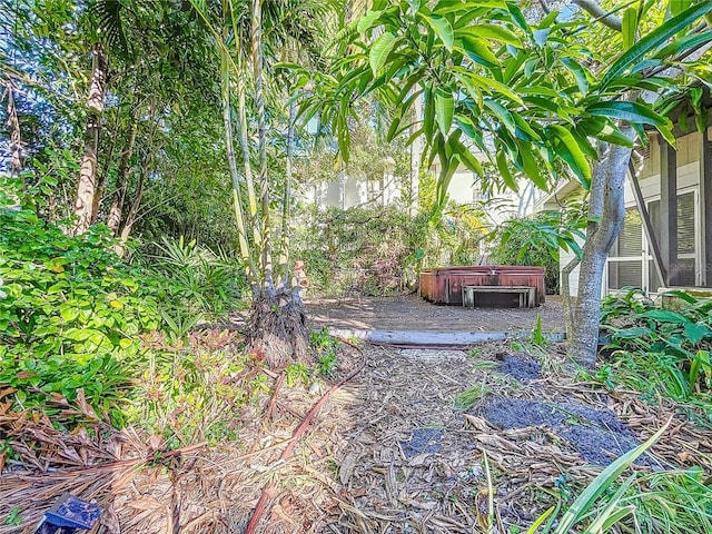 view of yard with a hot tub