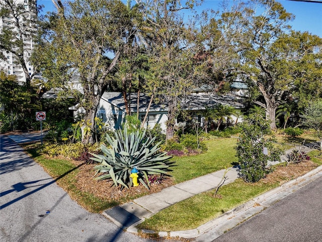 view of property hidden behind natural elements with a front lawn