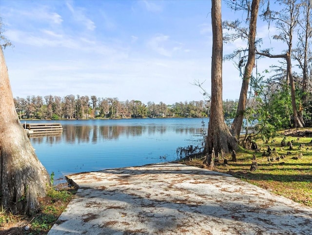 dock area featuring a water view