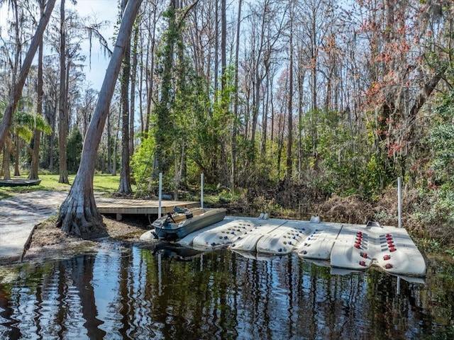 view of home's community with a water view