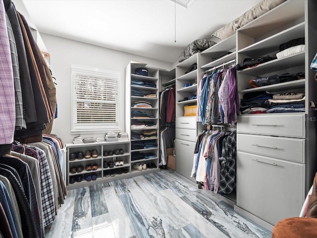 walk in closet with hardwood / wood-style flooring