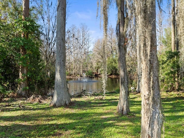 view of yard with a water view