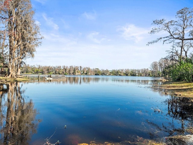 property view of water