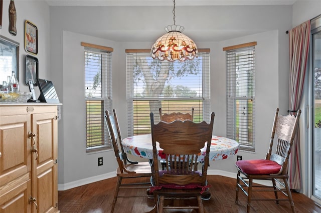 dining space with dark hardwood / wood-style flooring and a healthy amount of sunlight