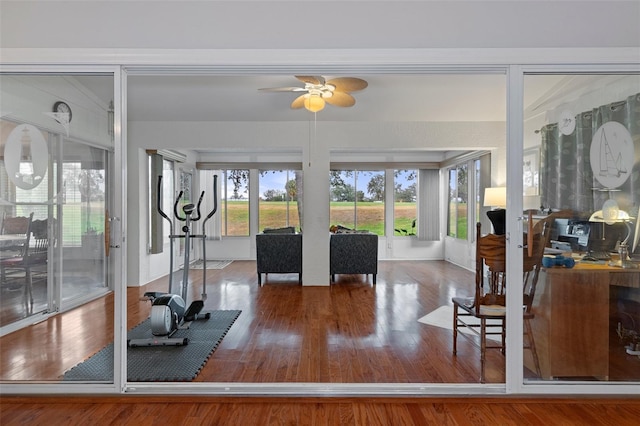 exercise room with ceiling fan and wood-type flooring