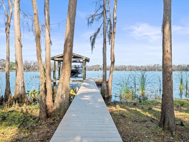 dock area with a water view