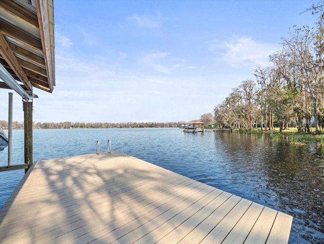 dock area featuring a water view