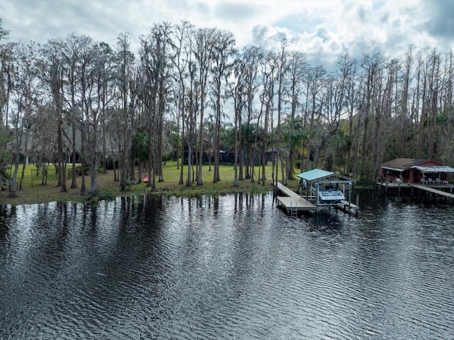 property view of water with a dock