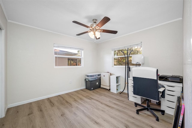 home office featuring a wealth of natural light, ornamental molding, ceiling fan, and light wood-type flooring