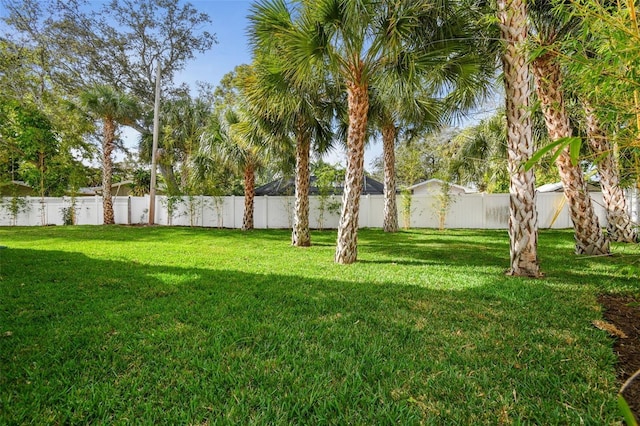 view of yard with a fenced backyard