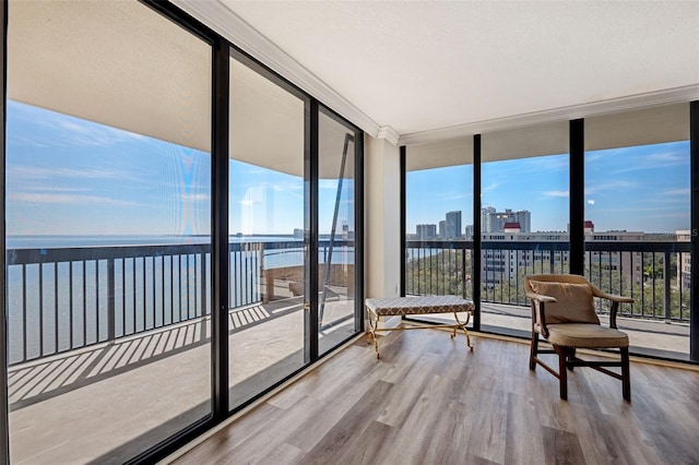 sunroom with a water view