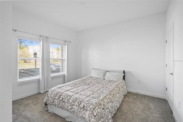 bedroom with carpet floors