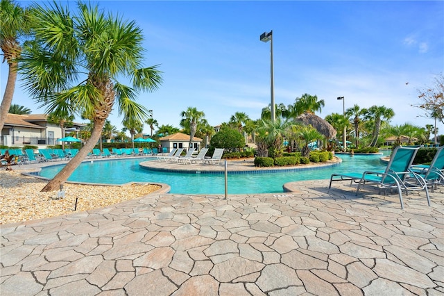 view of pool with a patio