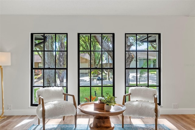 living area featuring a wealth of natural light and light wood-type flooring