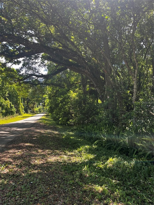 0 Jenkins Ave, Masaryktown FL, 34604 land for sale