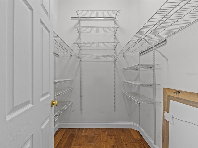 walk in closet featuring dark hardwood / wood-style flooring