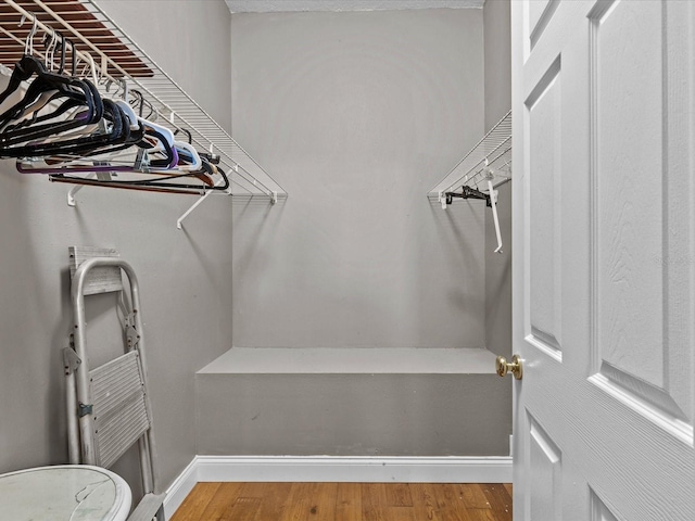 spacious closet featuring hardwood / wood-style floors