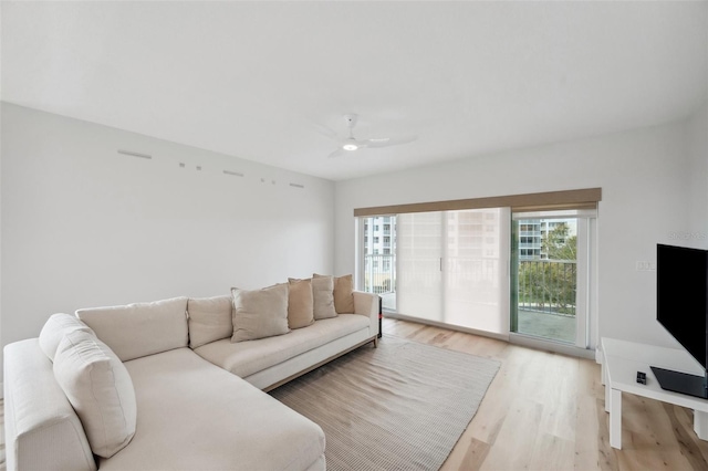 960 Starkey Rd Unit 10301, Largo, FL 33771 - living room with light wood-style floors and a ceiling fan
