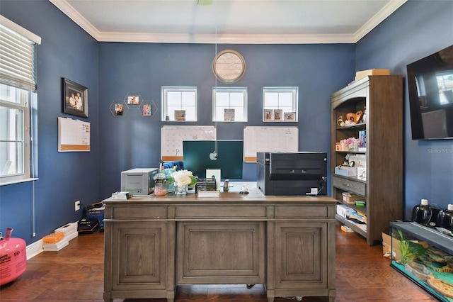 office space featuring crown molding, a healthy amount of sunlight, and dark wood-type flooring