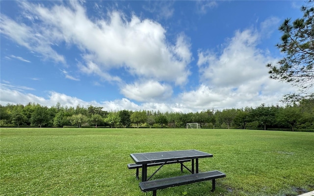 4110 Huntingdale Ct, Wesley Chapel, FL 33543 - view of home's community with an area for soccer