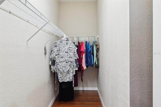 walk in closet featuring dark hardwood / wood-style flooring