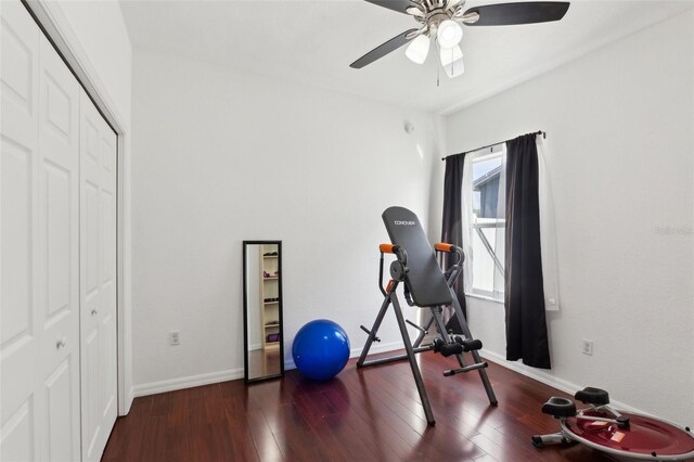 exercise area with dark hardwood / wood-style flooring and ceiling fan