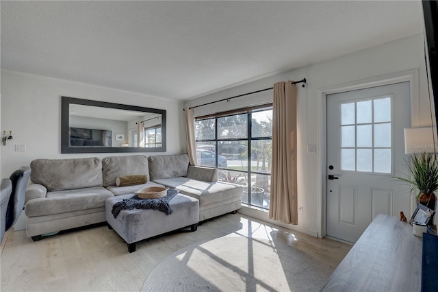 living area featuring light wood-style flooring and a wealth of natural light