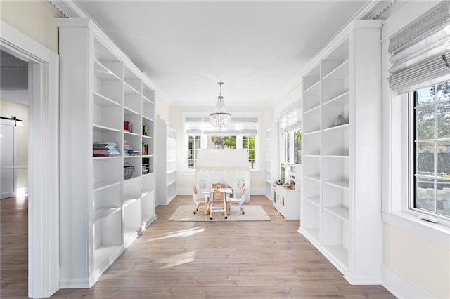 hallway with crown molding, hardwood / wood-style flooring, a chandelier, and a healthy amount of sunlight