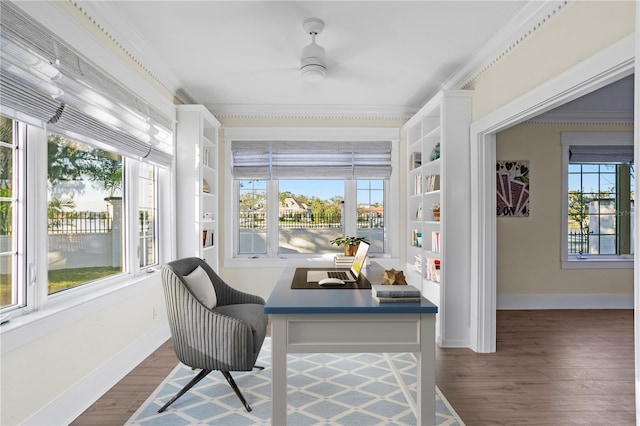 office space featuring a healthy amount of sunlight, ornamental molding, dark wood-type flooring, and ceiling fan