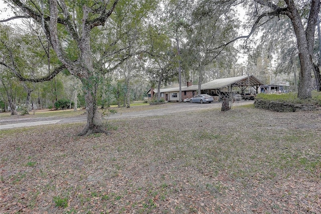 view of yard with a carport