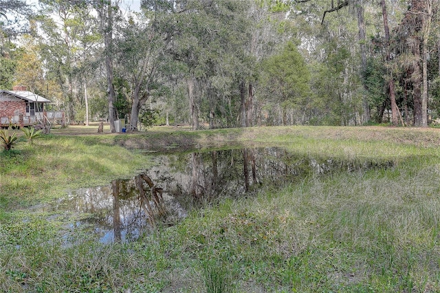 view of local wilderness featuring a water view