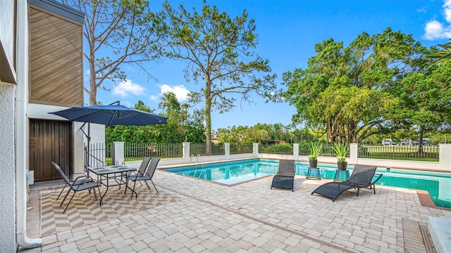 view of swimming pool with a patio