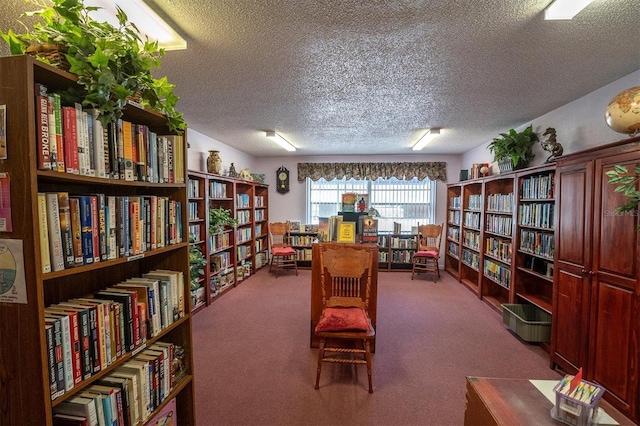 office area with carpet floors and a textured ceiling