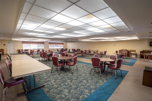 dining area featuring carpet floors and a drop ceiling