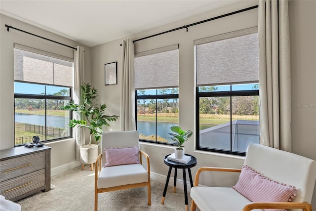 sitting room with a water view and light carpet