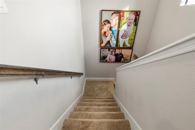 staircase with carpet floors