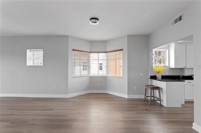 interior space with light hardwood / wood-style flooring and plenty of natural light