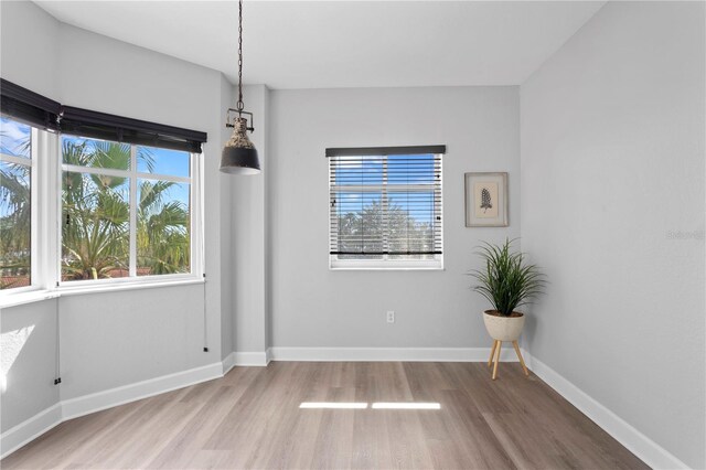 empty room featuring hardwood / wood-style flooring and plenty of natural light