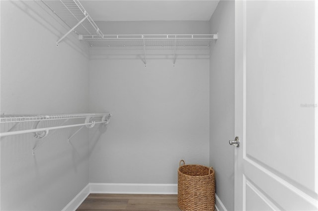 spacious closet featuring wood-type flooring