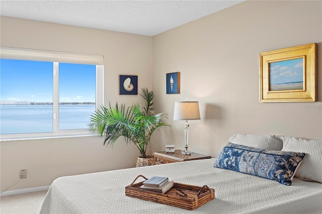 bedroom featuring a water view, carpet flooring, and a textured ceiling